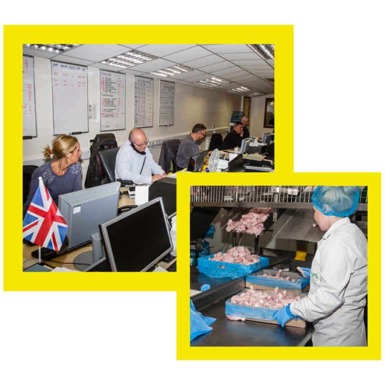 Direct Poultry ABOUT | Direct Poultry Supply